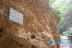 详解“北京人”化石被发现和被发掘的过程