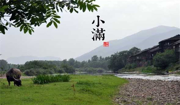 小满节气