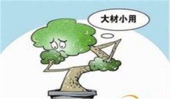 大材小用的意思与故事