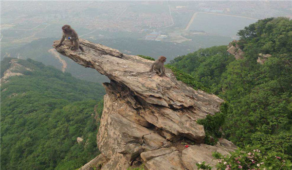 孙悟空的花果山