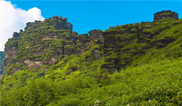 梵净山在哪里