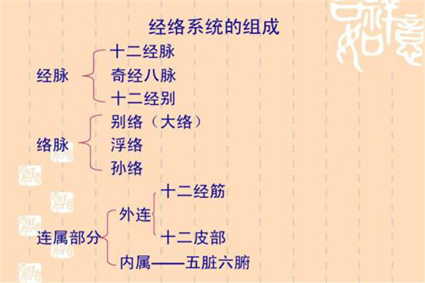 中医经络学说