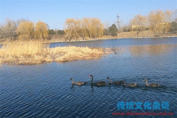 圆明园始建于明代