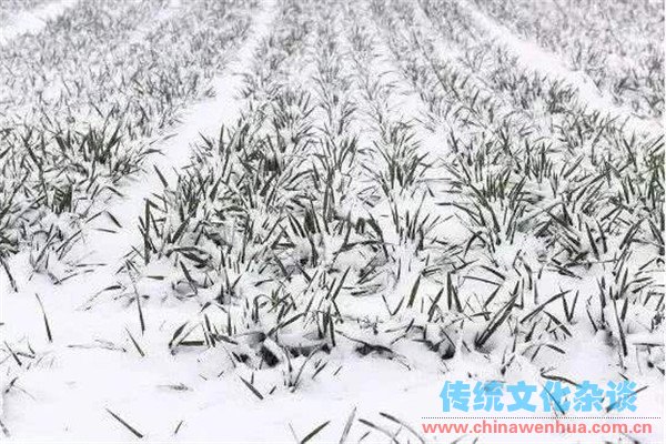 瑞雪能促进天然肥料的形成